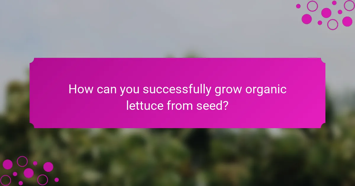 How can you successfully grow organic lettuce from seed?