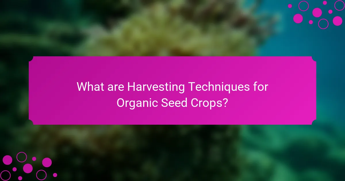 What are Harvesting Techniques for Organic Seed Crops?