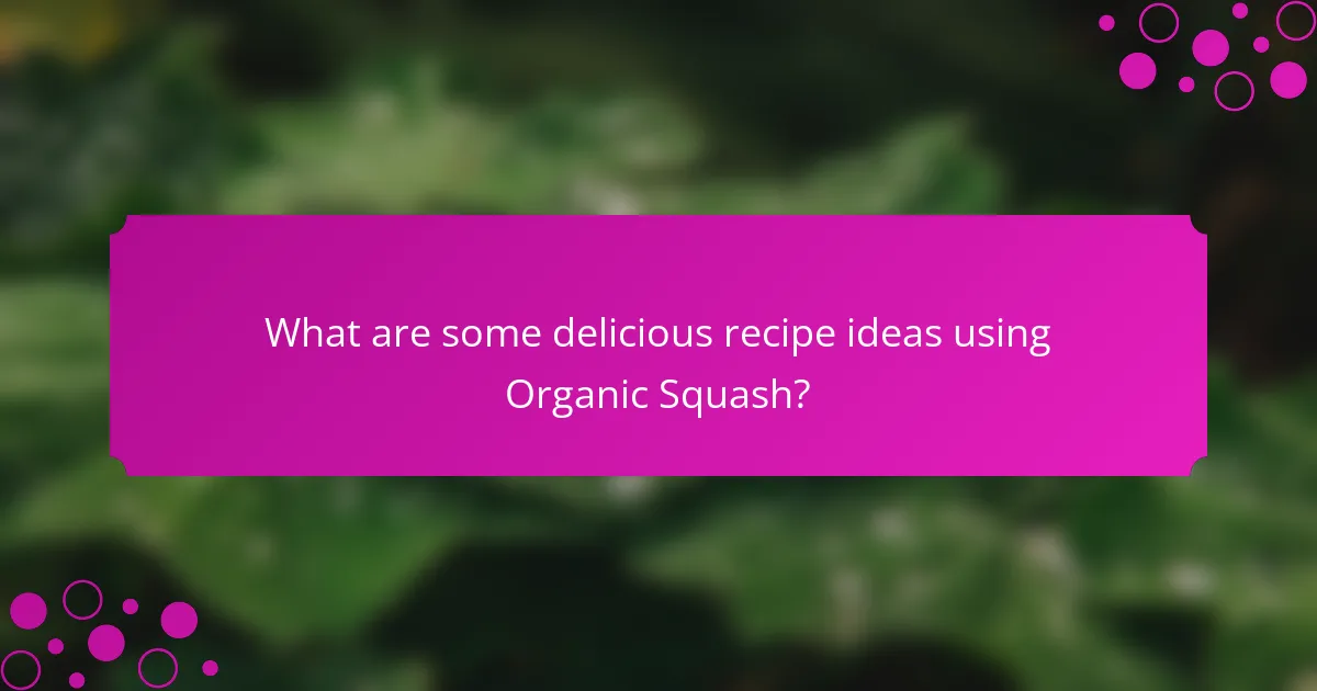 What are some delicious recipe ideas using Organic Squash?
