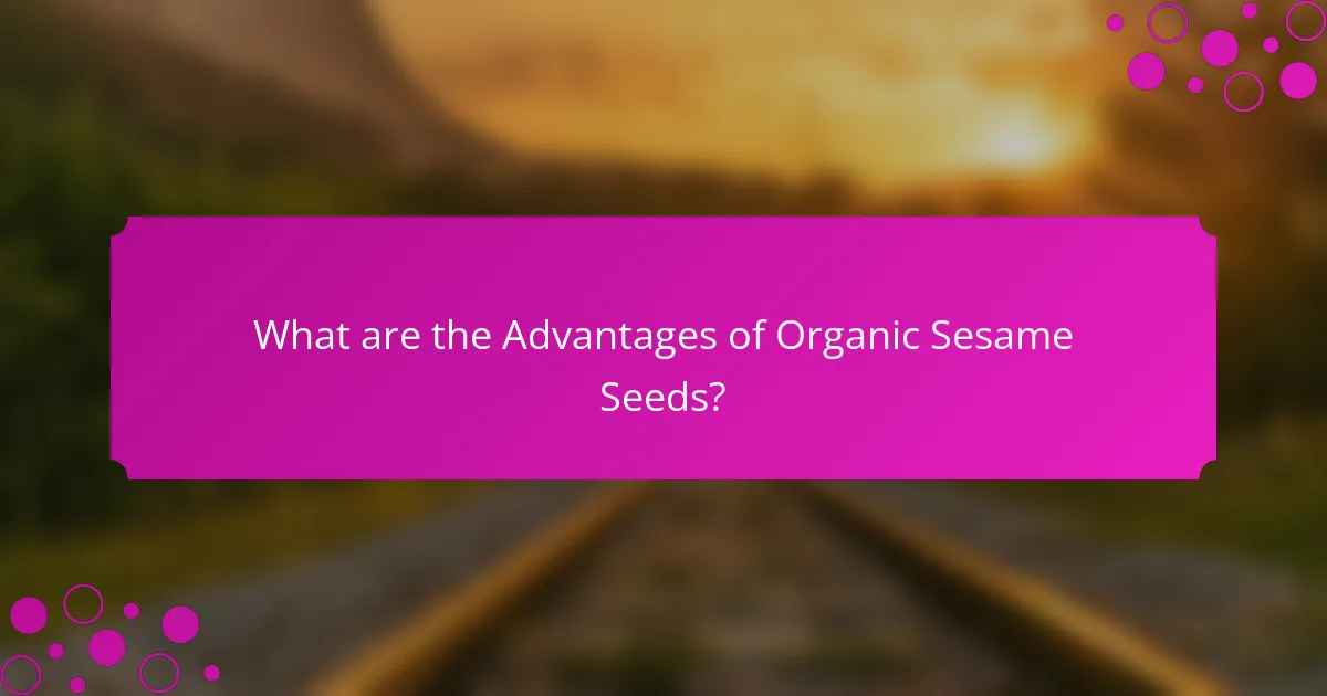 What are the Advantages of Organic Sesame Seeds?