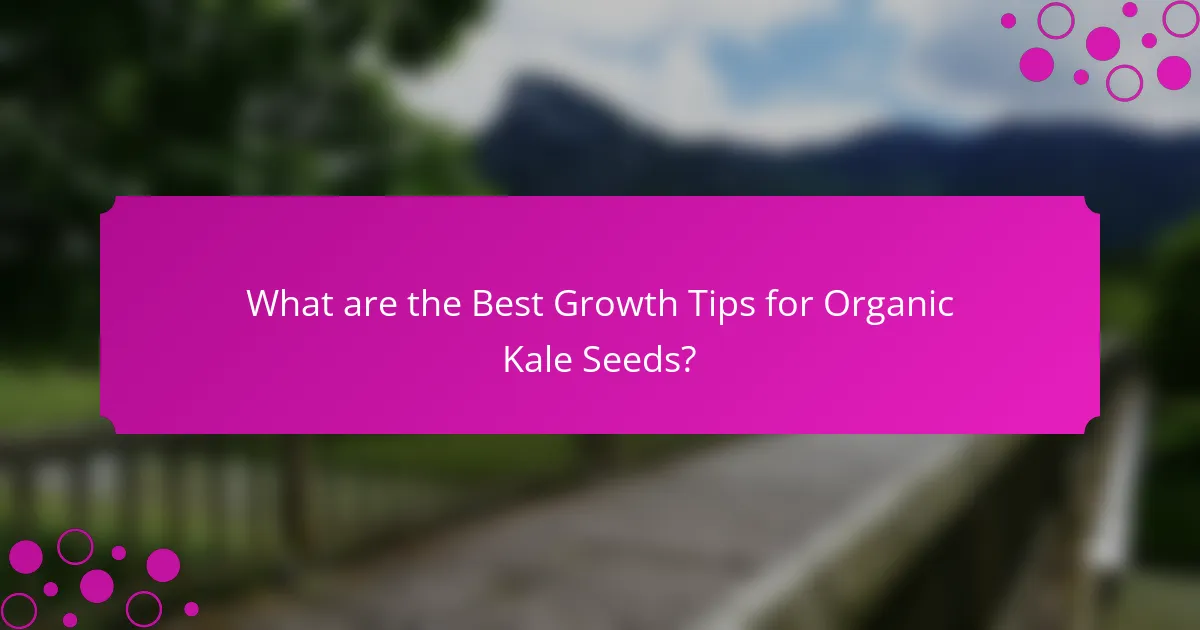 What are the Best Growth Tips for Organic Kale Seeds?