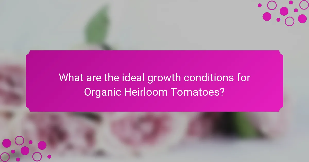 What are the ideal growth conditions for Organic Heirloom Tomatoes?