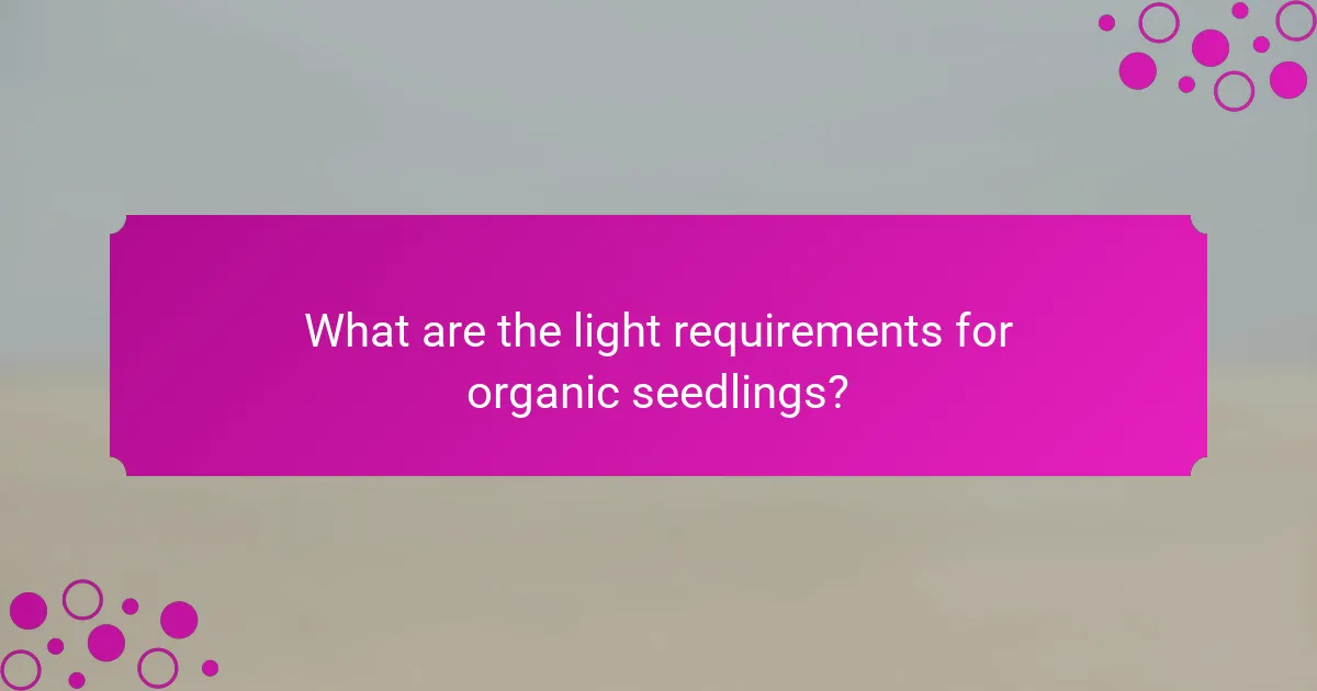 What are the light requirements for organic seedlings?