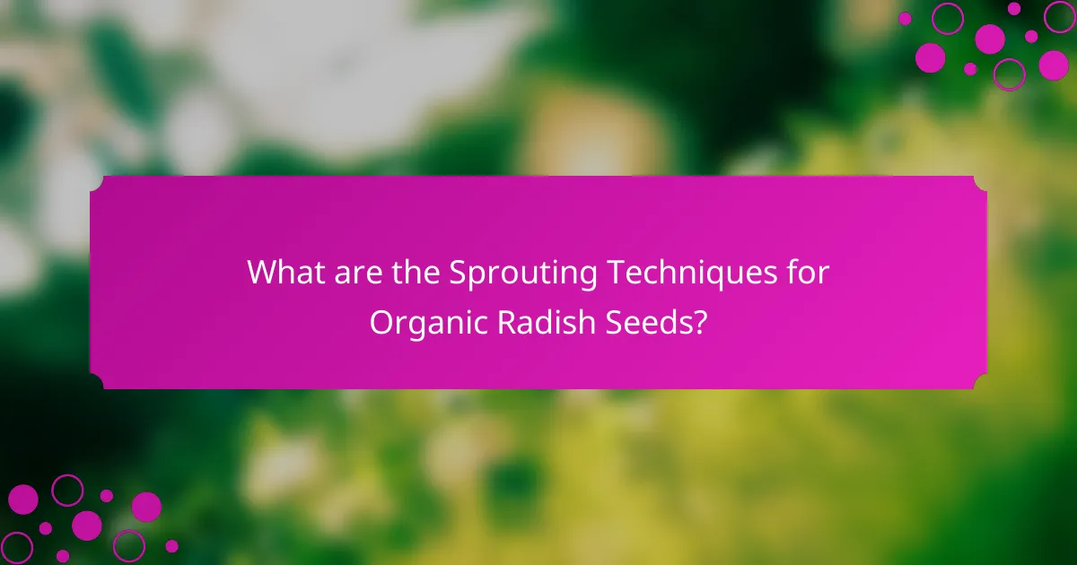 What are the Sprouting Techniques for Organic Radish Seeds?