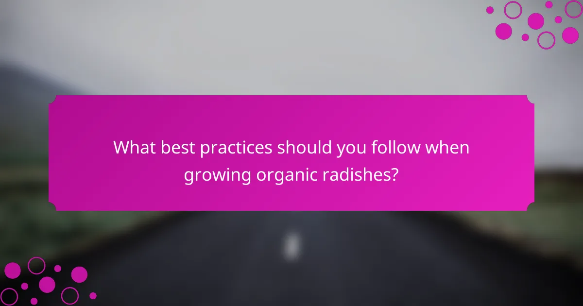 What best practices should you follow when growing organic radishes?