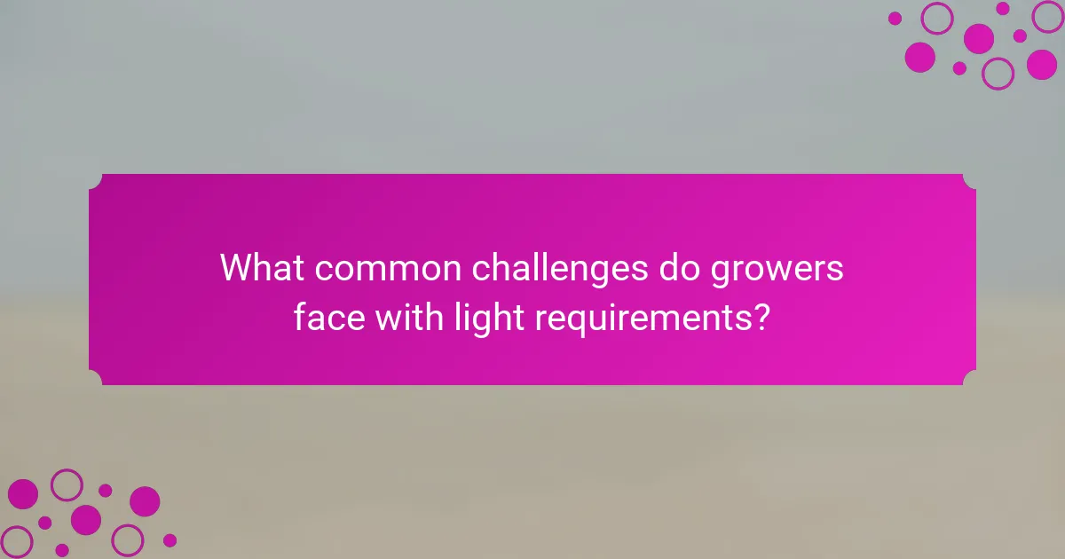What common challenges do growers face with light requirements?