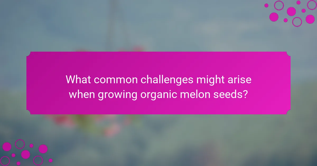 What common challenges might arise when growing organic melon seeds?
