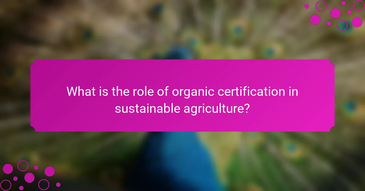 What is the role of organic certification in sustainable agriculture?